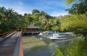 Our Manado fleet in the Lagoon