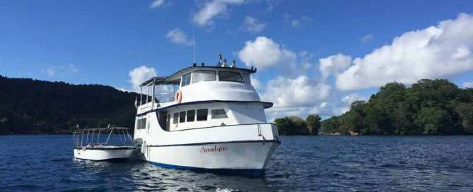 Shining Star of Lembeh Strait